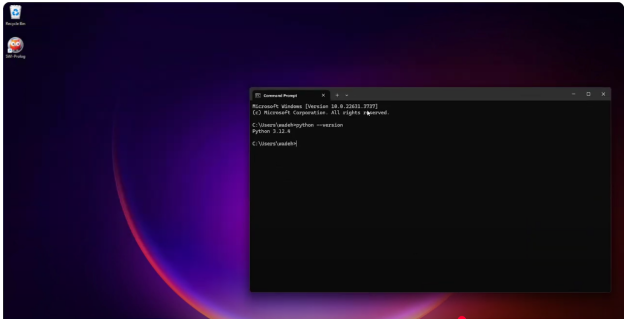 Python installation from the terminal