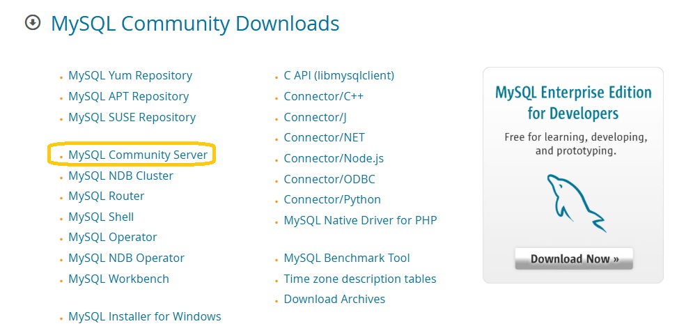 the MySQL Community Server option