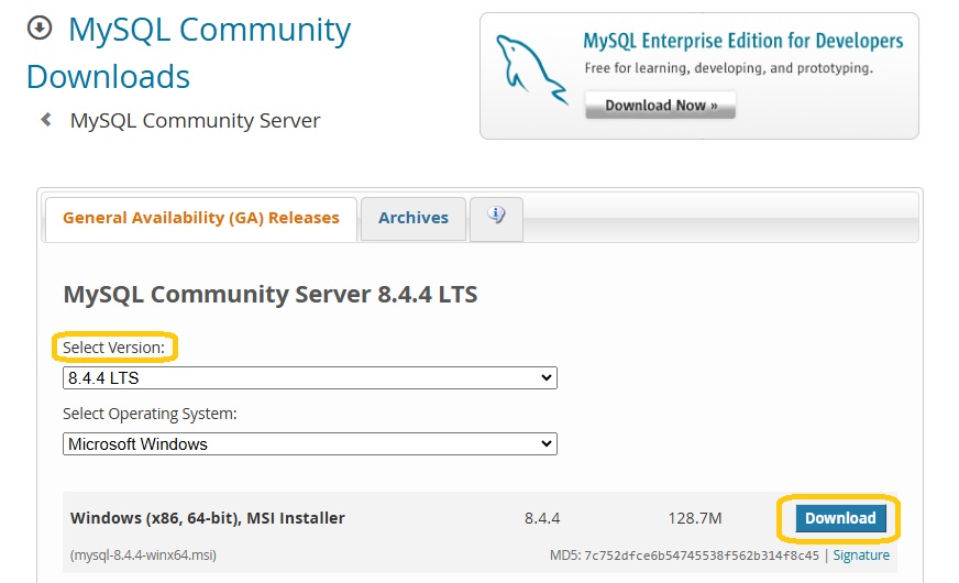 Windows (64-bit) MSI Installer to download the installation file