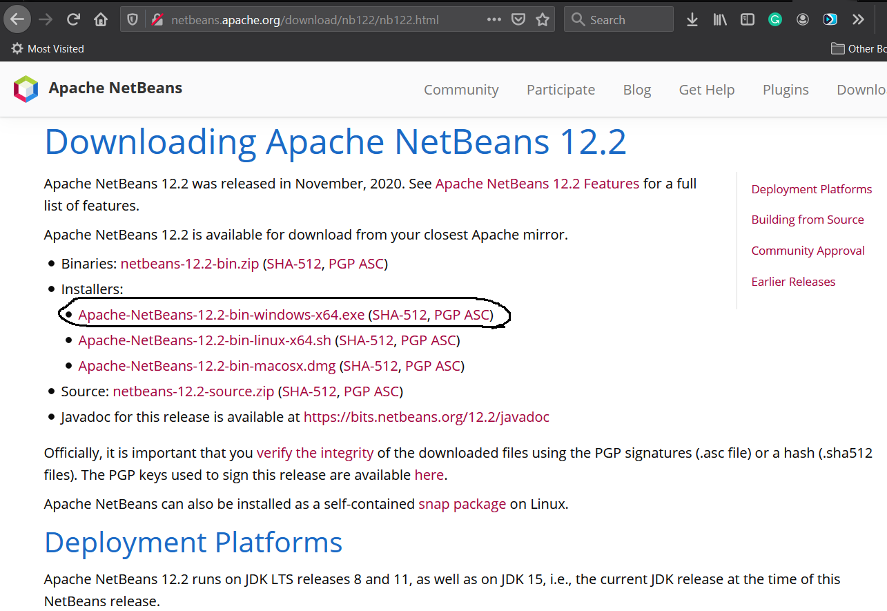 Install NetBeans 12 for Java On Windows 10 - Download Options Install NetBeans 12 for Java On Windows 10 - Download Options