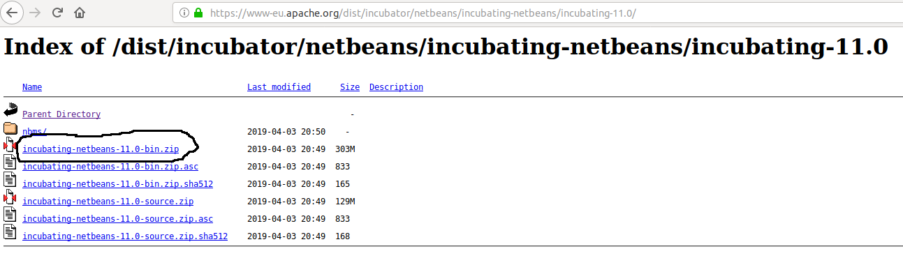 NetBeans 11 Download Options