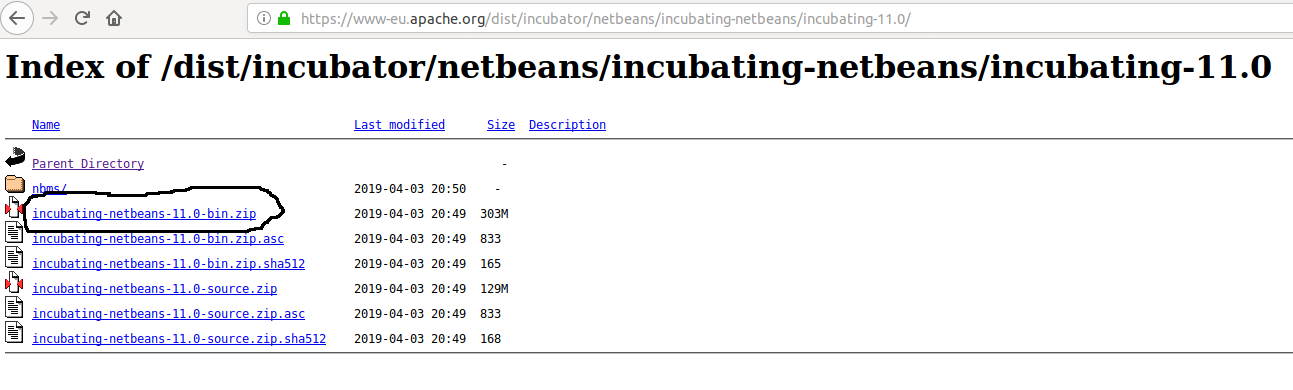 NetBeans 11 Download Options NetBeans 11 Download Options