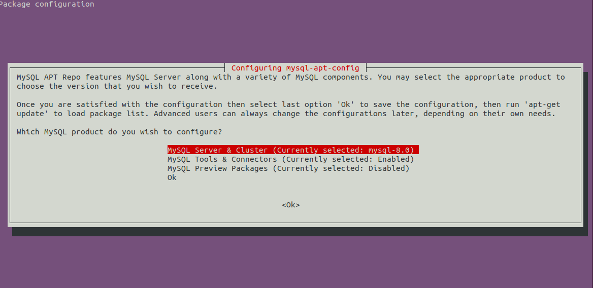 Choose Server Option Choose Server Option