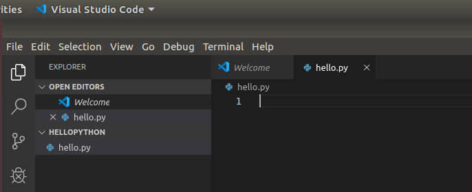 VSCode Python View File VSCode Python View File