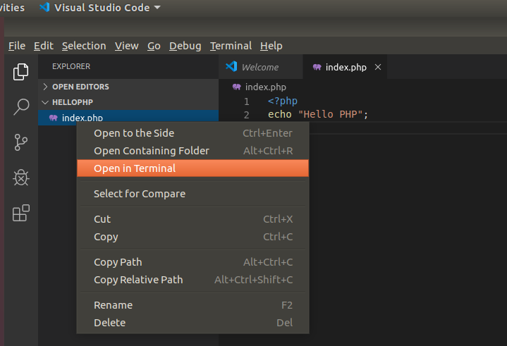 VSCode PHP Terminal