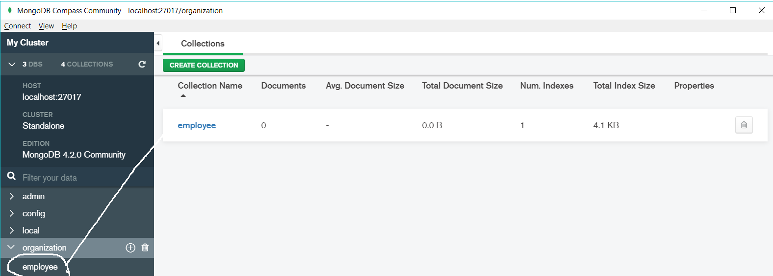 MongoDB Compass Collections