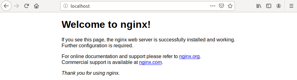 Nginx Installed