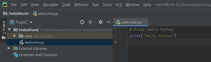 PyCharm Hello World Program