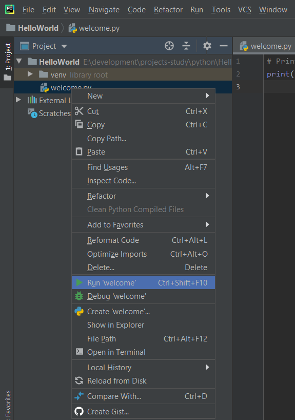 PyCharm Run Program