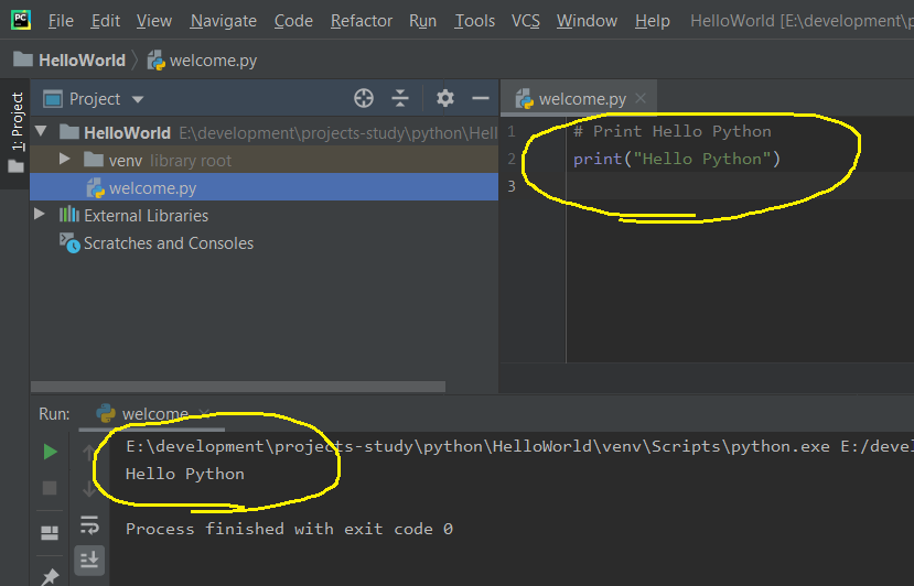 PyCharm Program Output