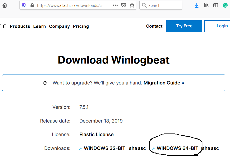 Winlogbeat Download Options