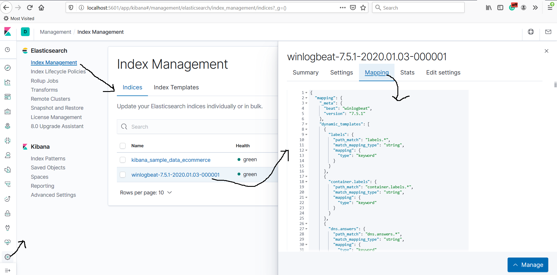 Winloagbeat Kibana Index