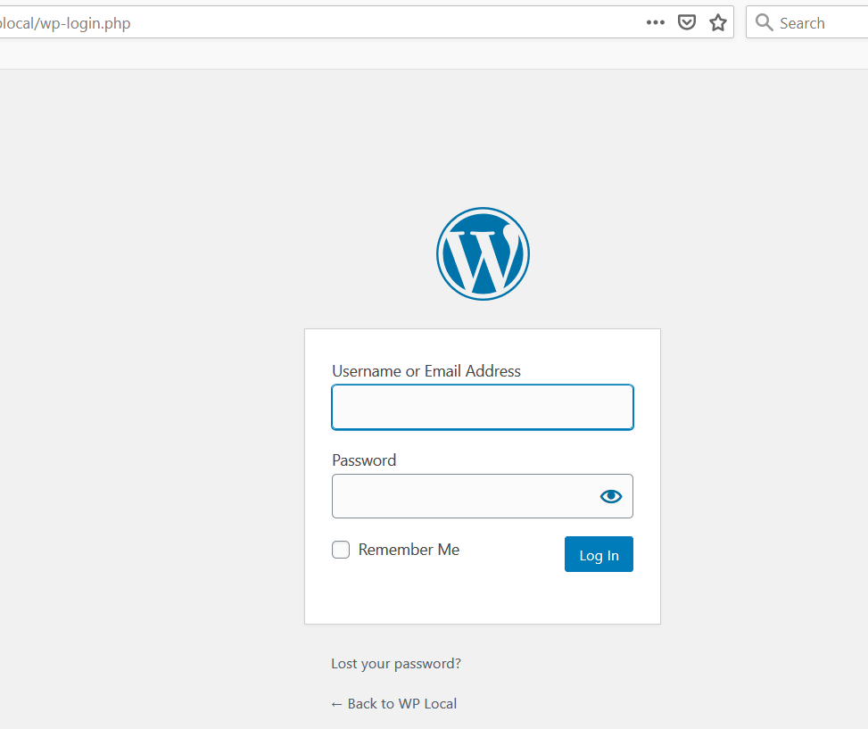 WordPress Log In Page