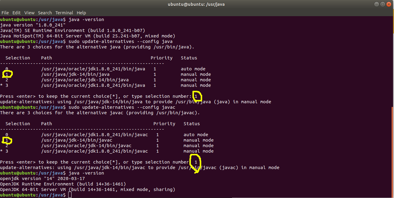 Switch Java Switch Java