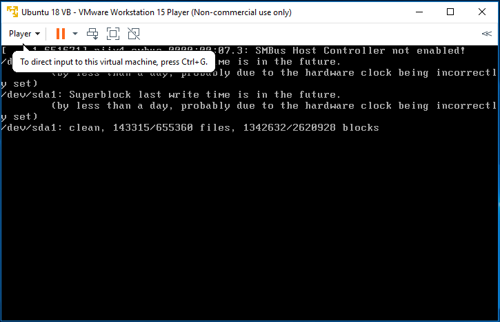 VMware Workstation Player - Import - Boot Progress