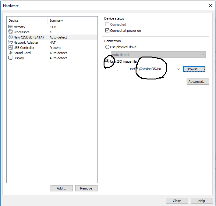 macOS - VMware - VM Settings macOS - VMware - VM Settings