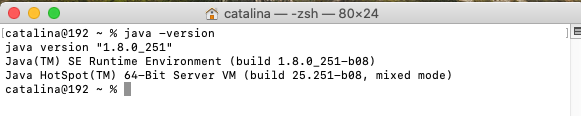 Java 8 - Mac - Check Version