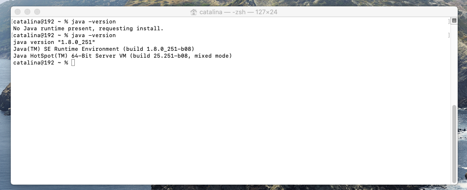 Java 8 - Mac - Check Version