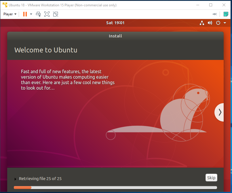 Ubuntu - VMware - progresul instalării