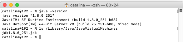 Java - Mac - Check Versions
