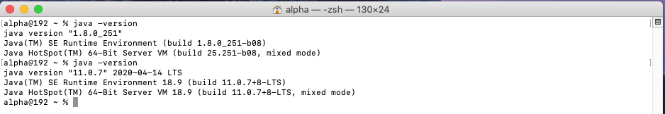 Java 11 - Mac - Check