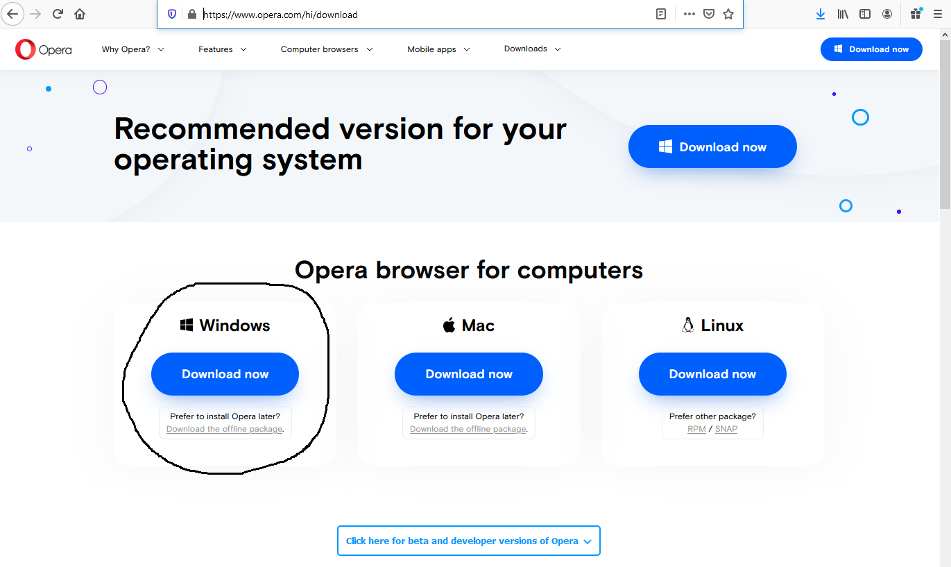 Install Opera On Windows - Download Options