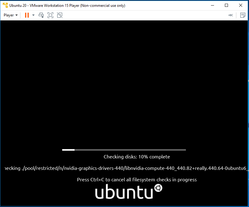 Ubuntu 20.04 LTS on Windows using VMware - File System Checks