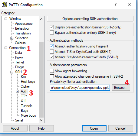 Ubuntu 20.04 LTS On AWS EC2 - Putty - PPK