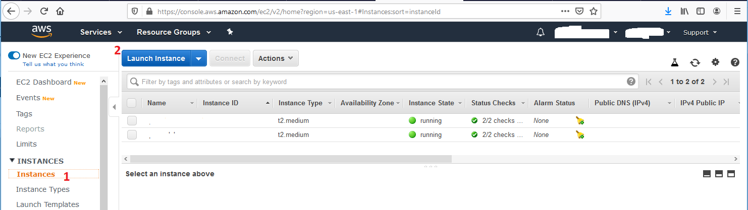 Ubuntu 20.04 LTS On AWS EC2 - AWS EC2 Instances