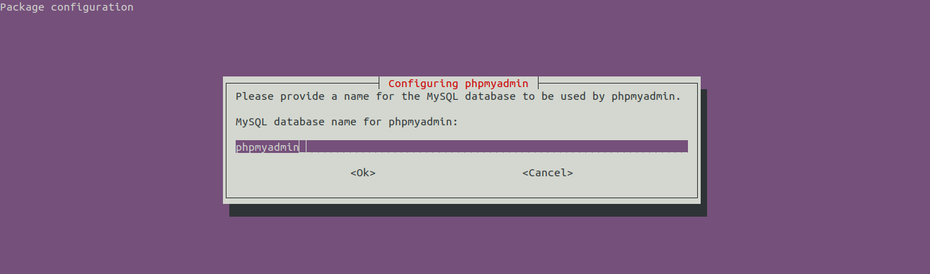 Install phpMyAdmin On Ubuntu 20.04 LTS - Database Name