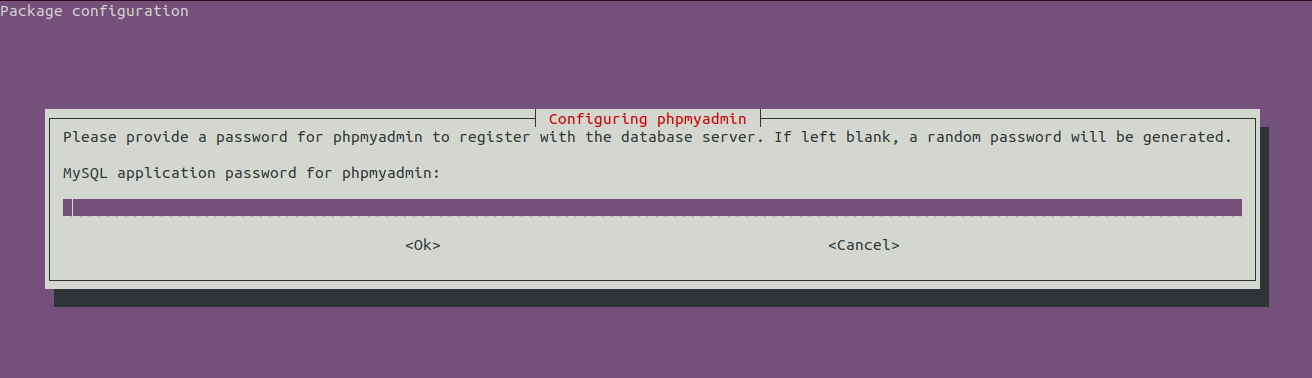 Install phpMyAdmin On Ubuntu 20.04 LTS - Database Password