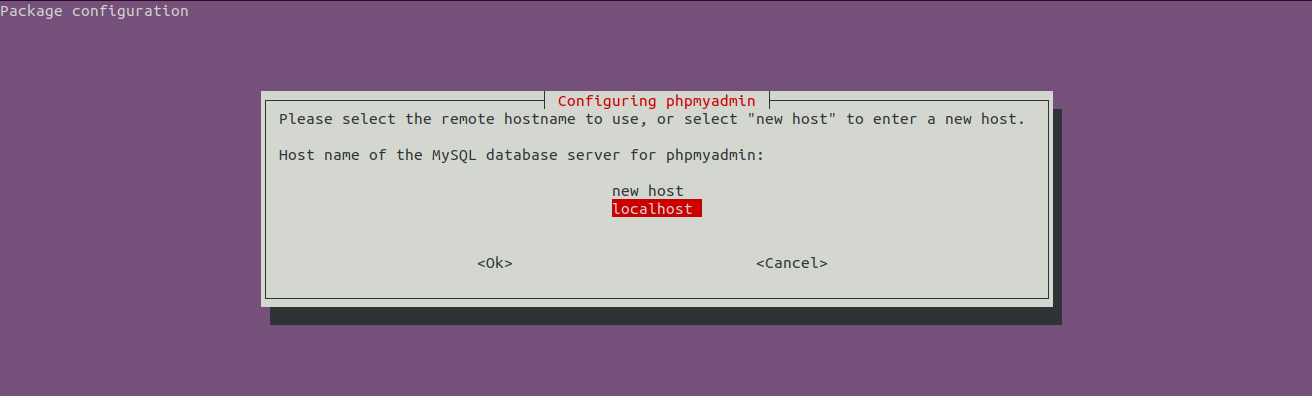 Install phpMyAdmin On Ubuntu 20.04 LTS - Host