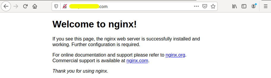 Install LEMP Using Ubuntu 20.04 LTS - Nginx - Home