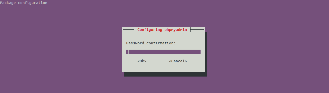 Install LEMP Using Ubuntu 20.04 LTS - phpMyAdmin - Confirm Password