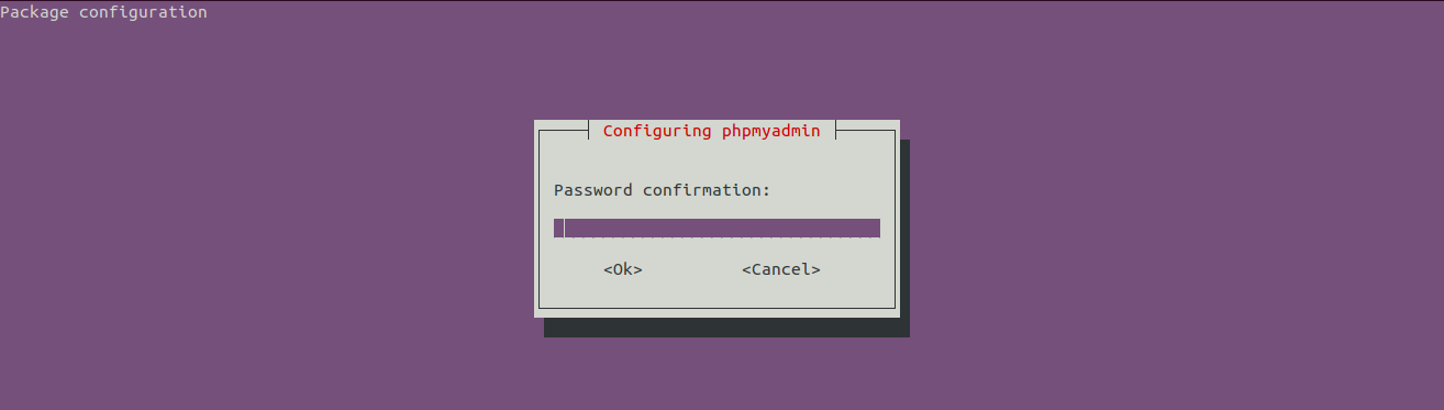 Install LEMP Using Ubuntu 20.04 LTS - phpMyAdmin - Confirm Password Install LEMP Using Ubuntu 20.04 LTS - phpMyAdmin - Confirm Password