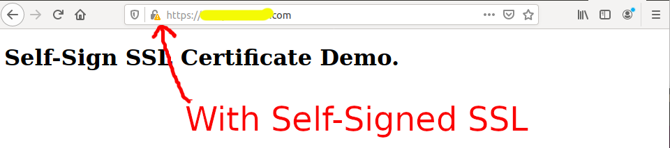 Install Self-Signed SSL Certificate On Ubuntu 20.04 - Apache - With SSL