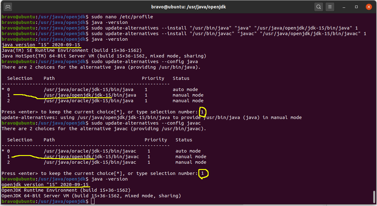 ubuntu 18.10 install openjdk 11 ubuntu 18.10 install openjdk 11