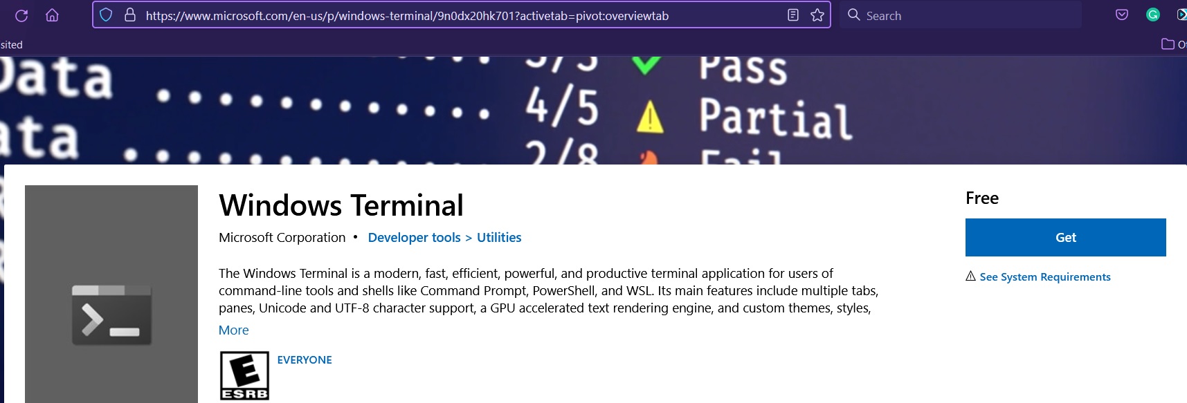 Windows Terminal installation