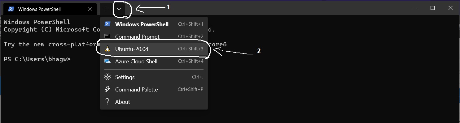 Install Windows Subsystem For Linux WSL 2 on Windows 10 - Windows Terminal Install Windows Subsystem For Linux WSL 2 on Windows 10 - Windows Terminal