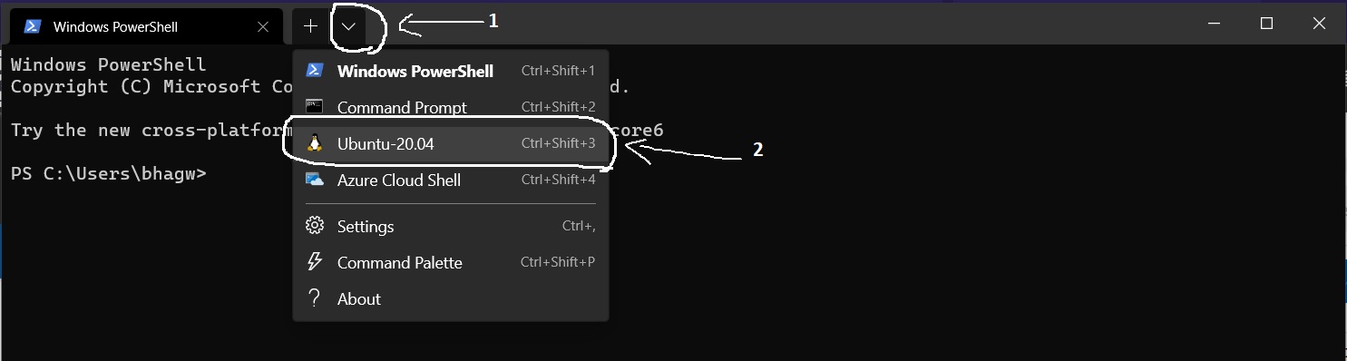 Install Windows Subsystem For Linux WSL 2 on Windows 10 - Windows Terminal