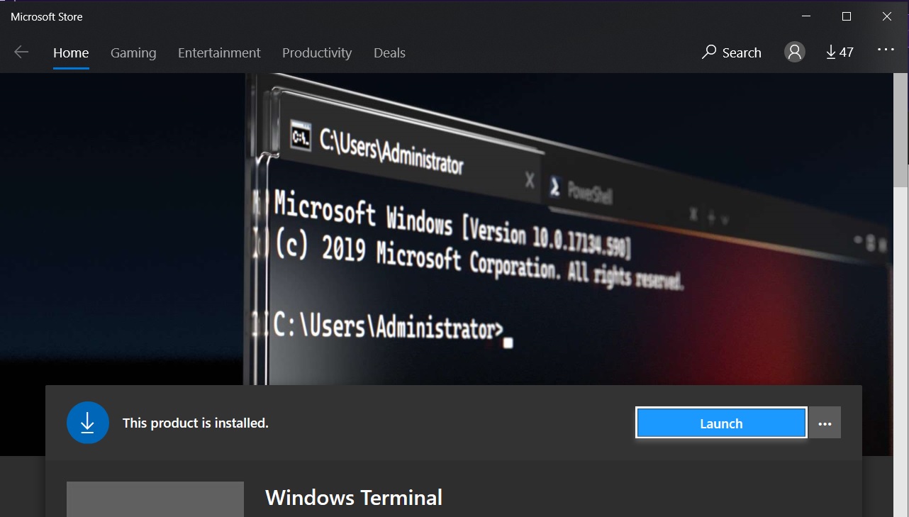 Install Windows Terminal on Windows 10 - Launch