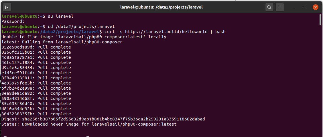 Install Laravel On Ubuntu Using Docker Engine and Laravel Sail - Create Project Install Laravel On Ubuntu Using Docker Engine and Laravel Sail - Create Project