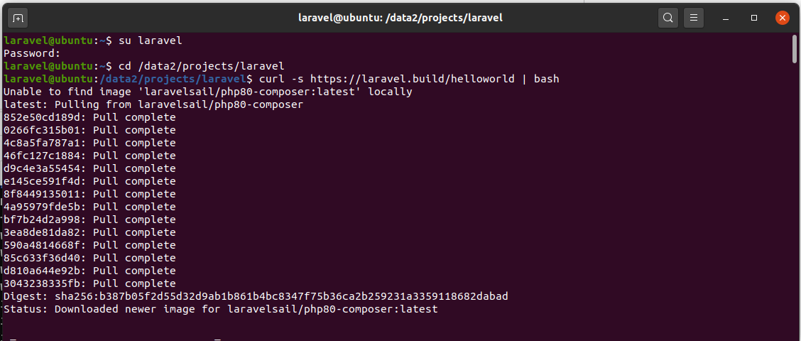 Install Laravel On Ubuntu Using Docker Engine and Laravel Sail - Create Project