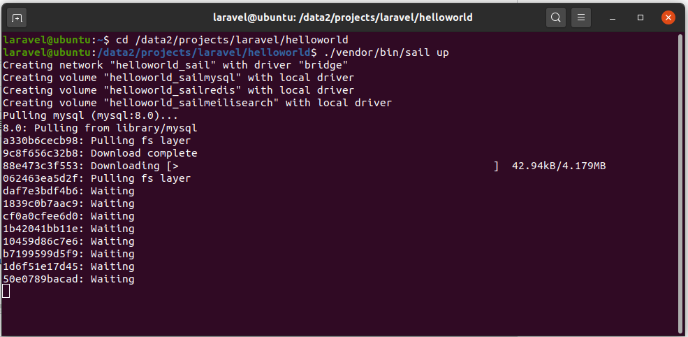 Install Laravel On Ubuntu Using Docker Engine and Laravel Sail - Launch Project Install Laravel On Ubuntu Using Docker Engine and Laravel Sail - Launch Project