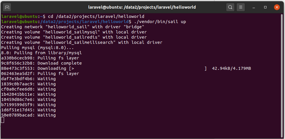 Install Laravel On Ubuntu Using Docker Engine and Laravel Sail - Launch Project