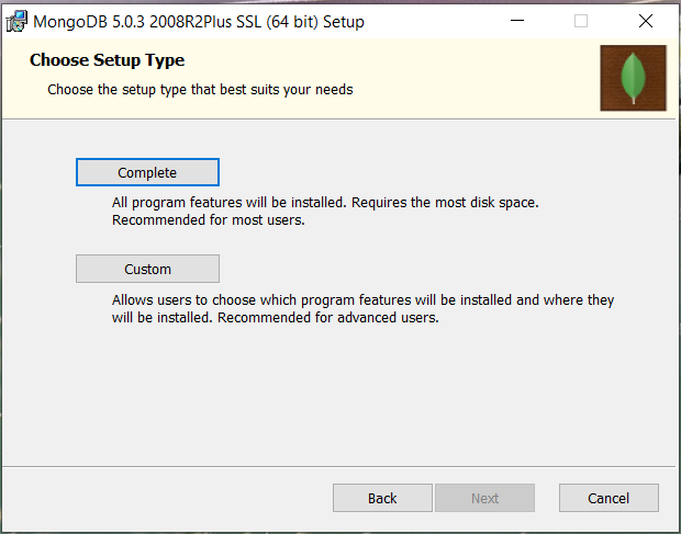Install MongoDB 5, Compass, Shell on Windows 10 - Setup Type