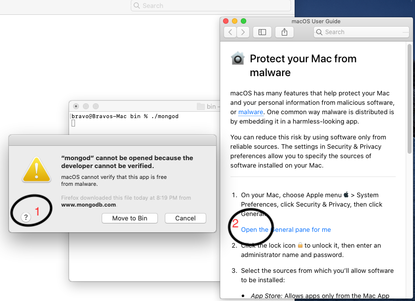 Install MongoDB, Compass, Shell on macOS Catalina - Permissions